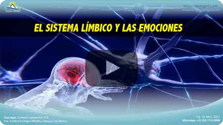 02-Diagnostico Bioeléctrico y Nociones Magnetismo